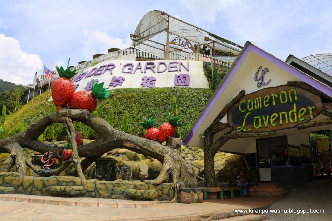 Holiday Heritage Hill Tanah Rata Exterior photo